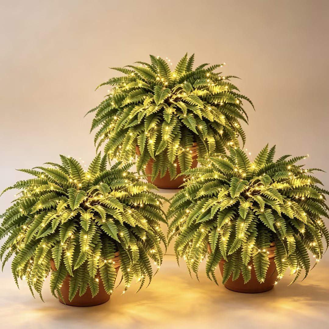 🌿 Glowing Boston Fern - TH