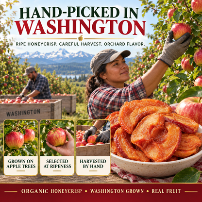 Nutritious dried apples made from fresh apples from Washington, D.C., using a three-steaming and three-drying process. - TH