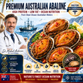 Premium Australian Abalone – High-Protein, Low-Fat Marine Nutrition for Heart-Conscious - CYH