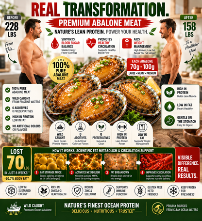 Premium Australian Abalone – High-Protein, Low-Fat Marine Nutrition for Heart-Conscious - CYH