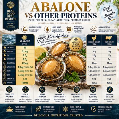 Premium Australian Abalone – High-Protein, Low-Fat Marine Nutrition for Heart-Conscious - CYH