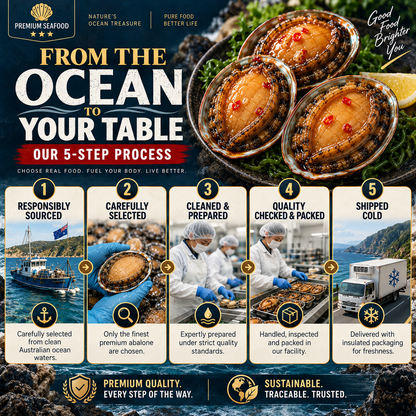 Premium Australian Abalone – High-Protein, Low-Fat Marine Nutrition for Heart-Conscious - CYH
