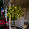 🌿 Glowing Boston Fern - TH