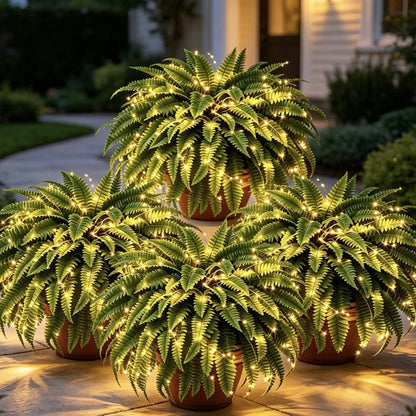 🌿 Glowing Boston Fern - TH